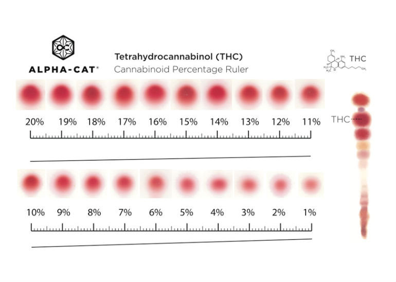 Thc Levels In Blood Chart