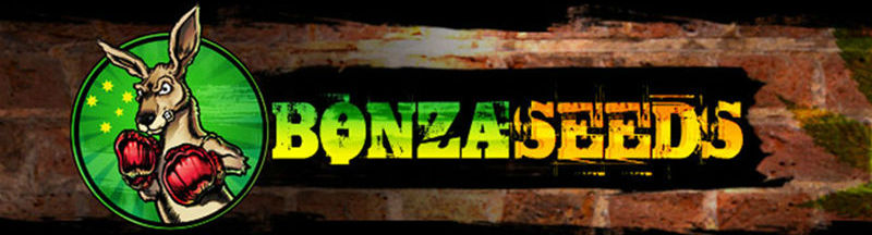 Bonza Seed Bank Logo