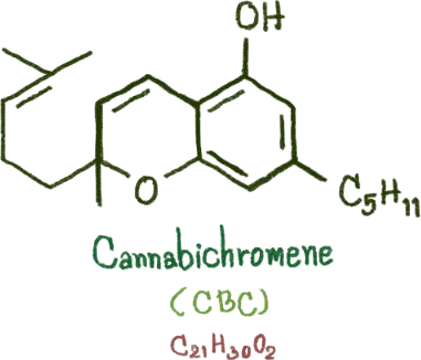 CBC Cannabichromene Molecule