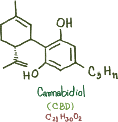 CBD Cannabidiol Molecule