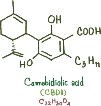 CBDA Cannabidiolic Acid Molecule