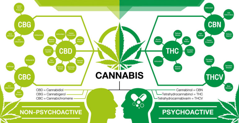 Cannabinoids Guide