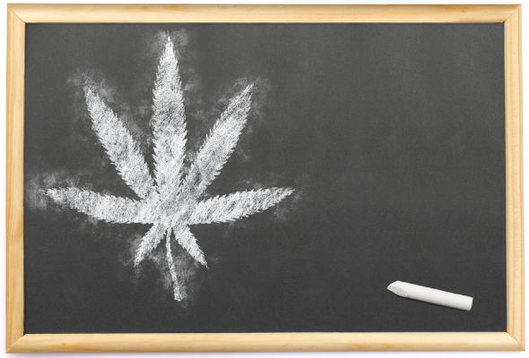 Teaching about Cannabis