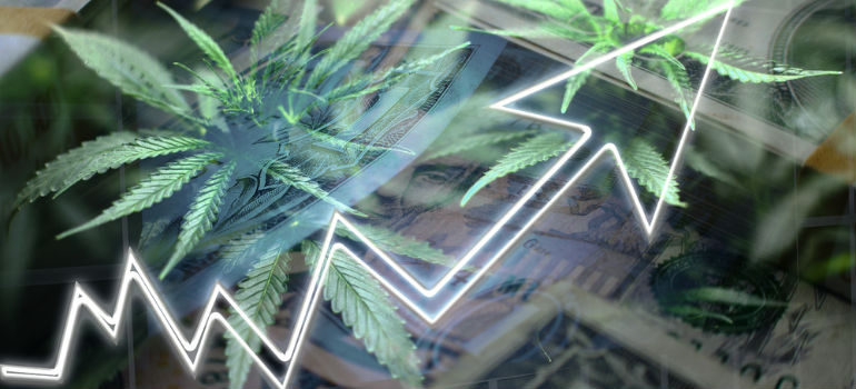 Marijuana Industry Growth
