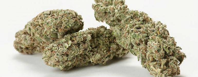 Cannatonic Cannabis Buds