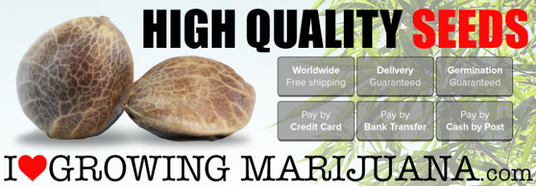 ILoveGrowingMarijuana.com Seed Bank