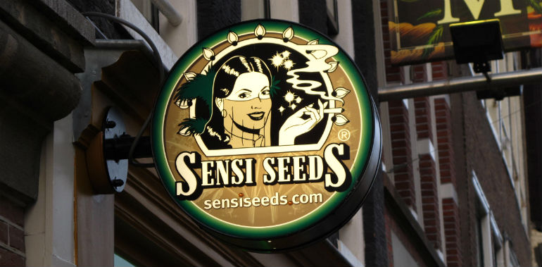 Sensi Seed Bank Street Sign