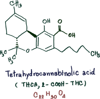 THCA Tetrahydrocannabinolic Acid Molecule