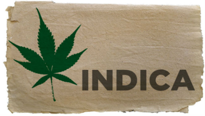 Cannabis Indica Weed