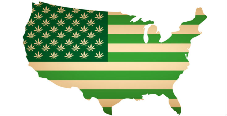 Prohibition of Marijuana Plants