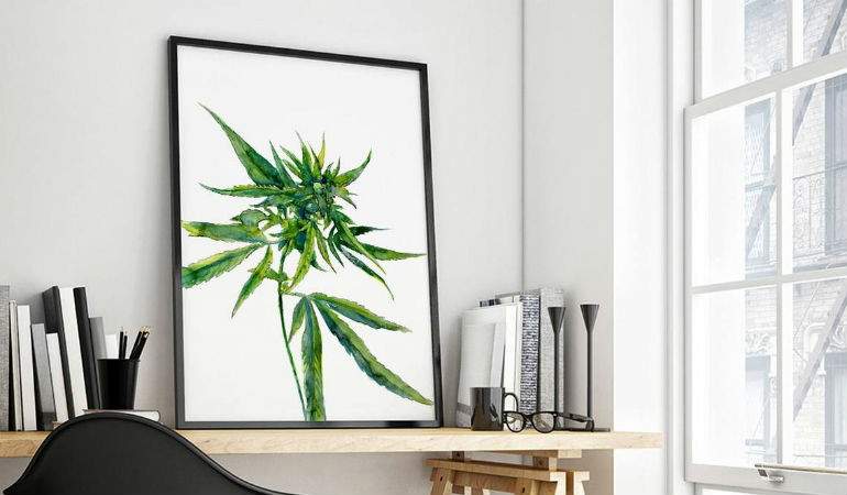Интерьеры марихуана конопля бледные листья