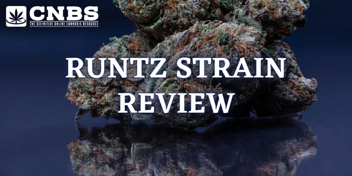 runtz strain review