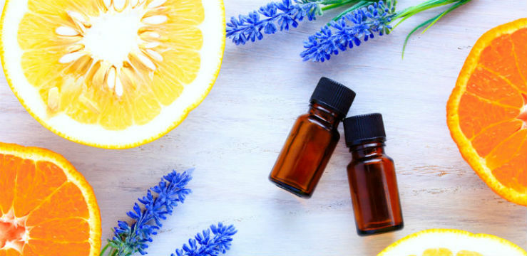 What Is Terpene Lavender CItrus Oils